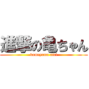 進撃の亀ちゃん (kameyama airi)