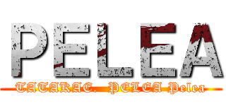 ＰＥＬＥＡ (TATAKAE.  PELEA Pelea)