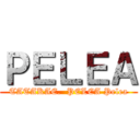 ＰＥＬＥＡ (TATAKAE.  PELEA Pelea)