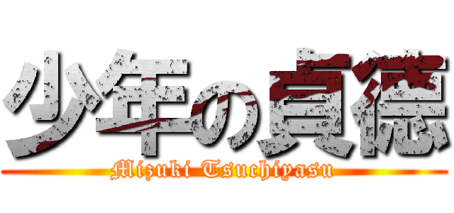 少年の貞德 (Mizuki Tsuchiyasu)