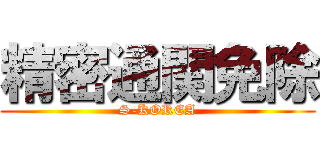 精密通関免除 (S-KOREA)