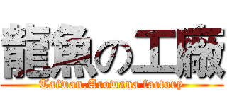 龍魚の工廠 (Taiwan.Arowana factory)