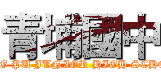 青埔國中 (QING PU JUNIOR HIGH SCHOOL)