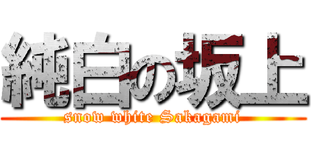 純白の坂上 (snow white Sakagami)