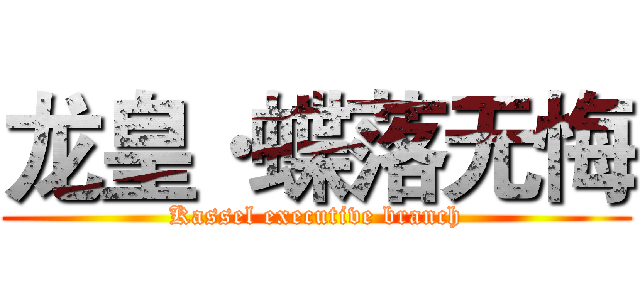 龙皇·蝶落无悔 (Kassel executive branch)