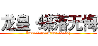 龙皇·蝶落无悔 (Kassel executive branch)