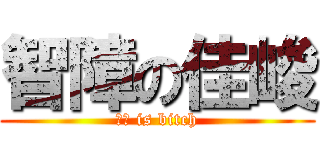 智障の佳峻 (佳峻 is bitch)