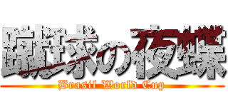 蹴球の夜蝶 (Brasil World Cup)