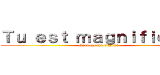 Ｔｕ ｅｓｔ ｍａｇｎｉｆｉｑｕｅ  (Si tu est fan d’animé )