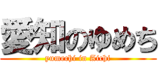 愛知のゆめち (yumechi in Aichi)