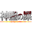 神聖の屎 (holy shit)