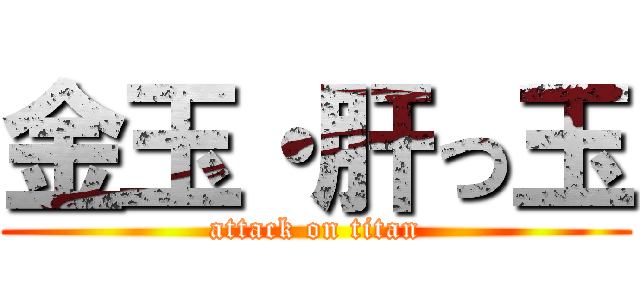 金玉・肝っ玉 (attack on titan)