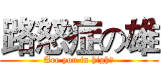 路怒症の雄 (Are you in high?)
