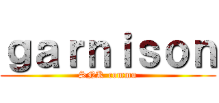 ｇａｒｎｉｓｏｎ (SNK-commu)