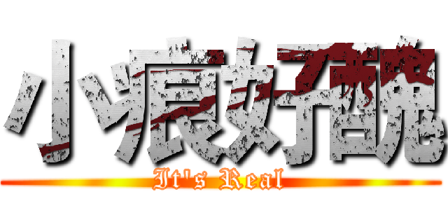 小痕好醜 (It's Real)