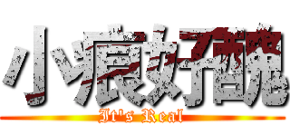 小痕好醜 (It's Real)