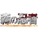 森の忍者 (Catch the forest ninja)