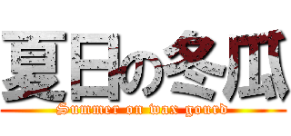 夏日の冬瓜 (Summer on wax gourd)