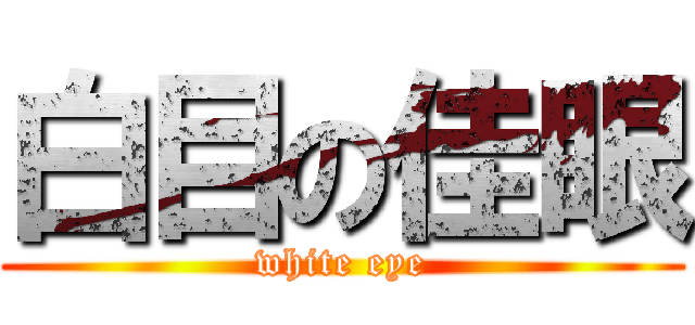 白目の佳眼 (white eye)