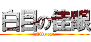 白目の佳眼 (white eye)