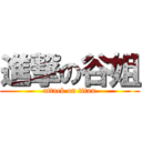 進撃の谷姐 (attack on titan)