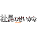 社長のせいかな (いつものことだけど)
