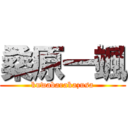 桑原一颯 (kuwabarakazusa)