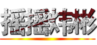 摇摇炜彬 ()