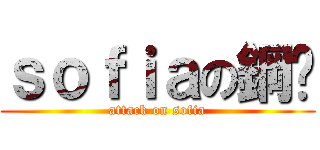 ｓｏｆｉａの鋼盔 (attack on sofia)