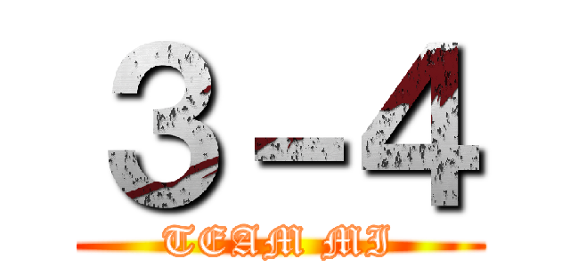 ３－４ (TEAM MI)