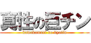 真性の巨チン (kawakamuri no kyotin)