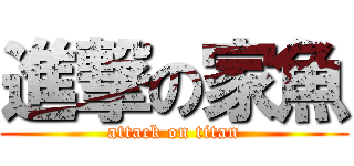 進撃の家魚 (attack on titan)