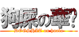 狗屎の華垃 (DOGSHIT on huala)