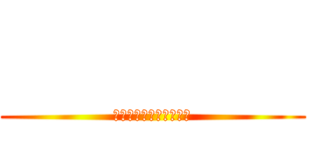           (　　　　　　　　　　　)