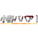 小野ババア！ (attack on titan)