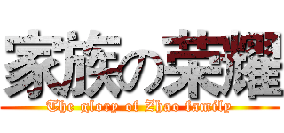 家族の荣耀 (The glory of Zhao family)