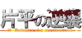 片平の逆襲 (訳文  Katahira of a counterattack)