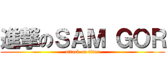 進撃のＳＡＭ ＧＯＲ (attack on titan)