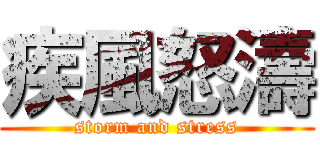 疾風怒濤 (storm and stress)