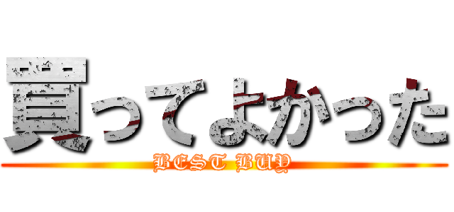 買ってよかった (BEST BUY)