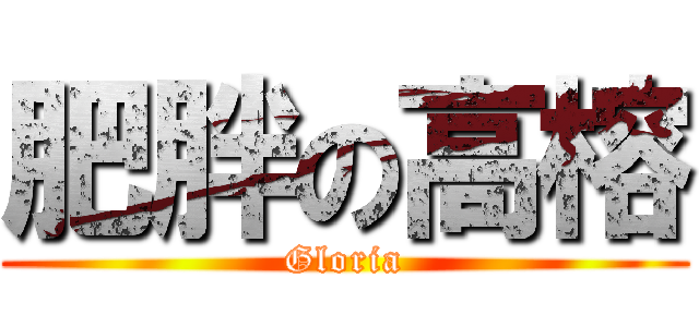 肥胖の高榕 (Gloria)