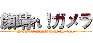 顔晴れ！ガメラ (Slow　but steady wins the race)