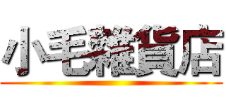 小毛雜貨店 ()