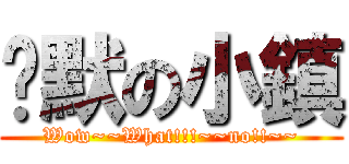 沉默の小鎮 (Wow~~What!!!~~no!!~~)