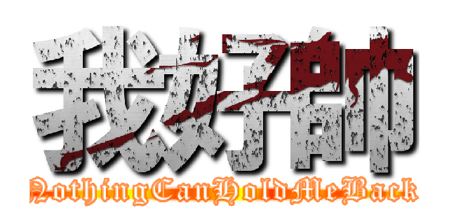 我好帥 (NothingCanHoldMeBack)