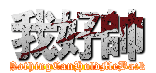 我好帥 (NothingCanHoldMeBack)