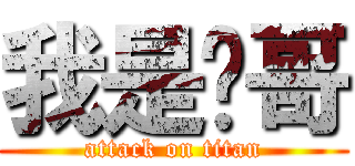 我是帅哥 (attack on titan)