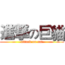 進撃の巨貓 (attack on cat)