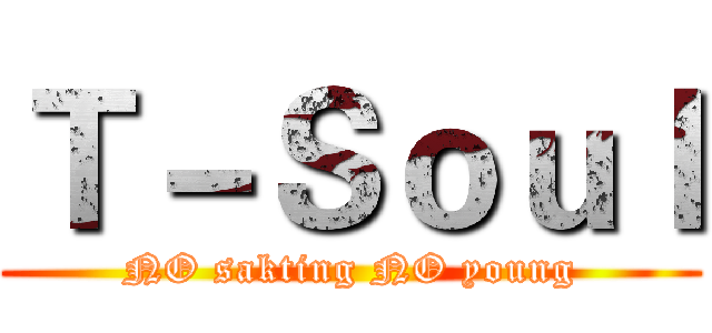Ｔ－Ｓｏｕｌ (NO sakting NO young)