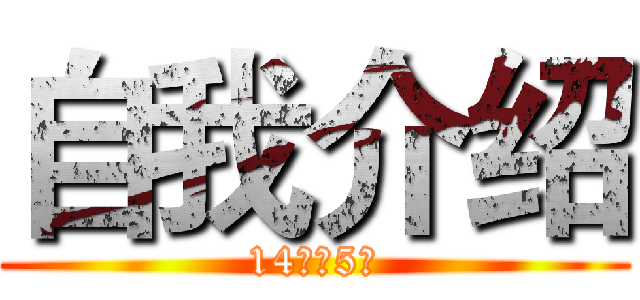 自我介绍 (14会计5班)